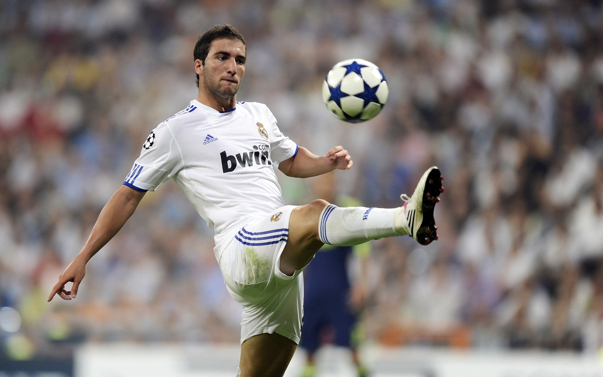 中国拳王张志磊再赢一场,剑指世界金腰带,拳击选手张志磊